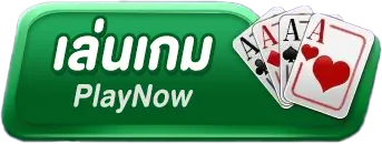FIN699