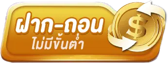 FIN699